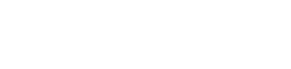 logo light